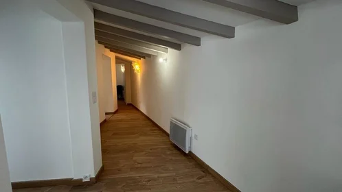 Chambre privée à Aix-en-provence, 13100, image 12 de 13