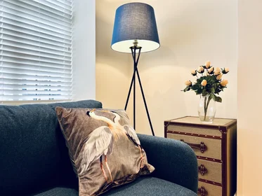 Apartamento inteiro em 30, imagem 3 de 11