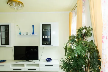 Studio at Dottendorfer Straße, image 8 of 17
