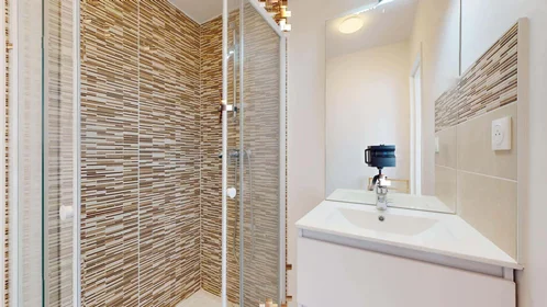 Habitación privada en 32 Rue Tarissan, 31400 Toulouse, France, imagen 7 de 18