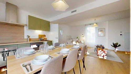 Habitación privada en 32 Rue Tarissan, 31400 Toulouse, France, imagen 12 de 18