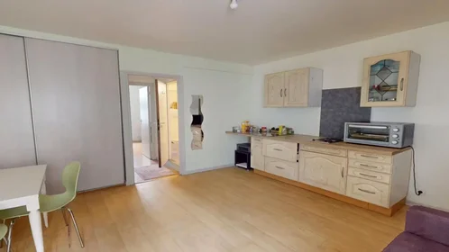 Appartamento intero in Rue Pierre le Vénérable, Delille-Cathédrale-la Gare, immagine 3 di 10