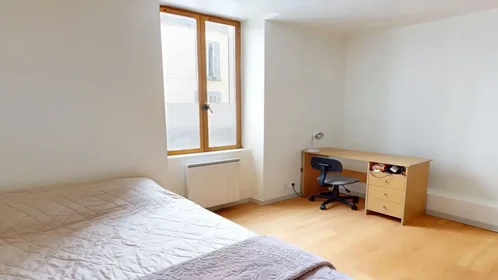 Appartamento intero in Rue Pierre le Vénérable, Delille-Cathédrale-la Gare, immagine 6 di 10