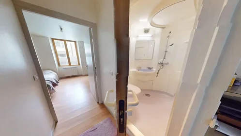 Appartamento intero in Rue Pierre le Vénérable, Delille-Cathédrale-la Gare, immagine 9 di 10