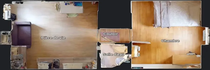 Appartamento intero in Rue Pierre le Vénérable, Delille-Cathédrale-la Gare, immagine 10 di 10