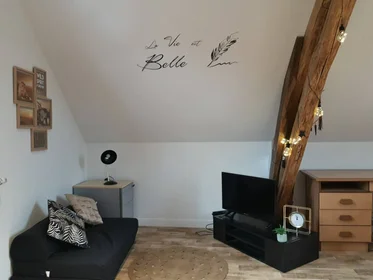 Quarto privado em Troyes, 10000, imagem 18 de 36