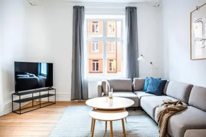 Prywatny pokój Nørrebrogade, obraz 5 20