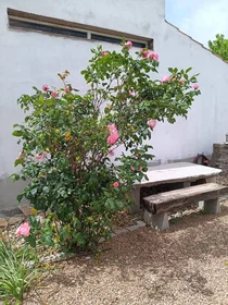Quarto privado em camino hermanos Jimenez, imagem 13 de 15