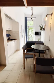 Entire apartment at Prusa 1, image 4 of 17