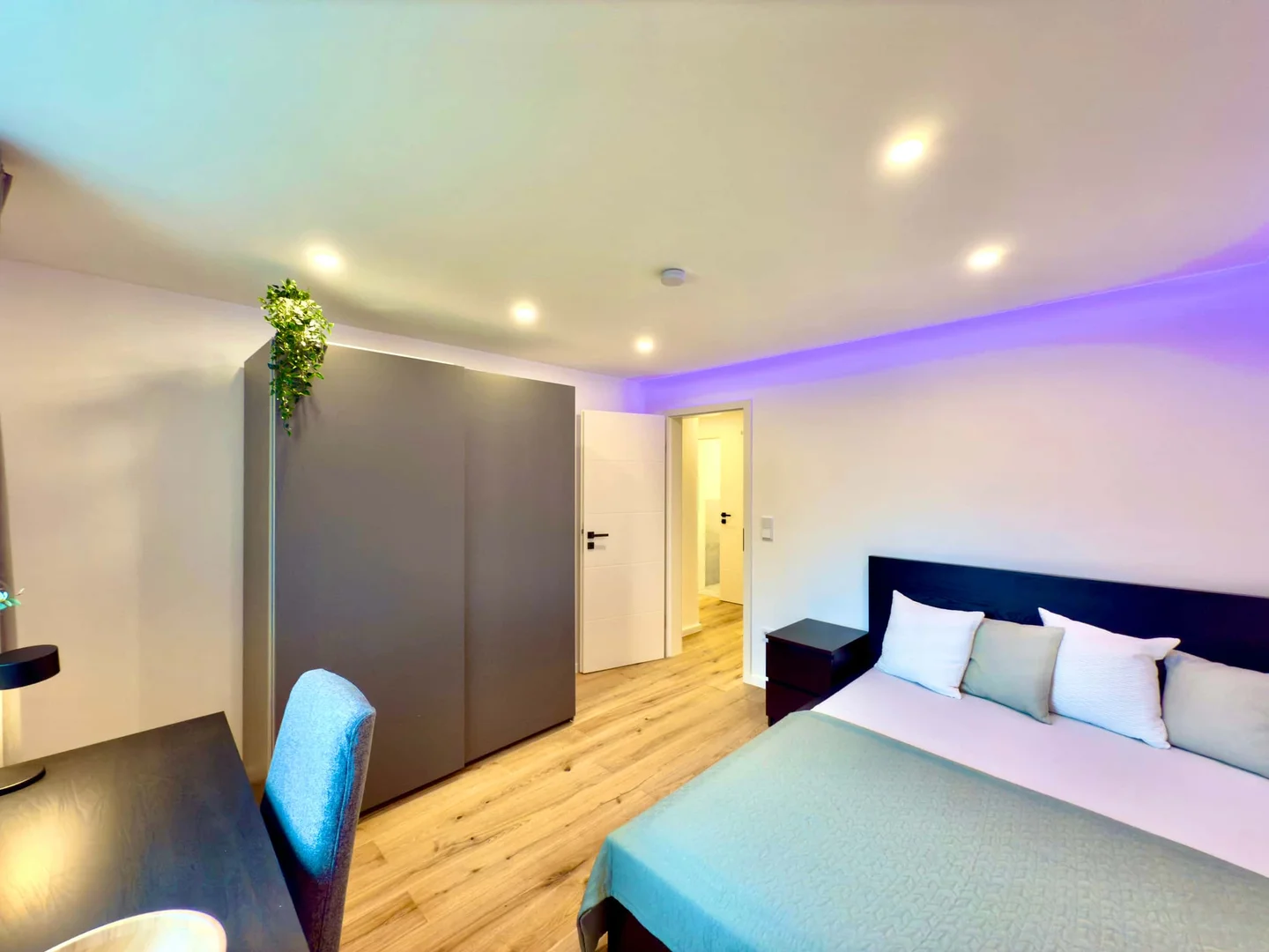 Affordable room for students with ample lighting in 