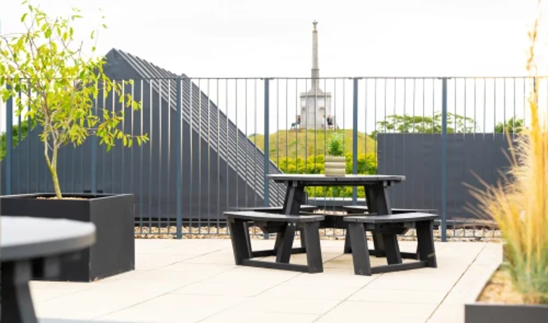 Affordable room for students with ample lighting in 