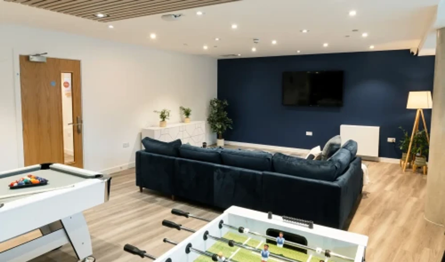 Affordable room for students with ample lighting in 