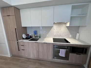 Prywatny pokój Dalhousie Toronto M5B 0C5, obraz 1 9