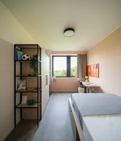 Privatzimmer im Wohnheim in der Corso Novara 59 , bild 1 von 34