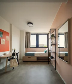 Habitación privada en residencia en Corso Novara 59 , imagen 4 de 37
