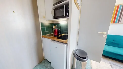 Entire apartment at Boulevard des Tchécoslovaques, 7th Arrondissement, image 1 of 10