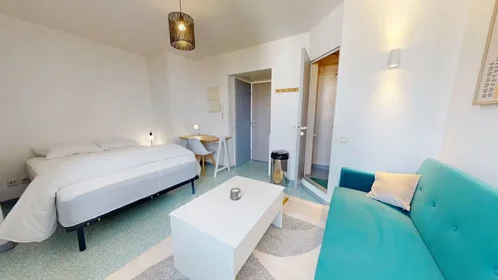 Entire apartment at Boulevard des Tchécoslovaques, 7th Arrondissement, image 2 of 10