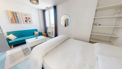 Entire apartment at Boulevard des Tchécoslovaques, 7th Arrondissement, image 4 of 10
