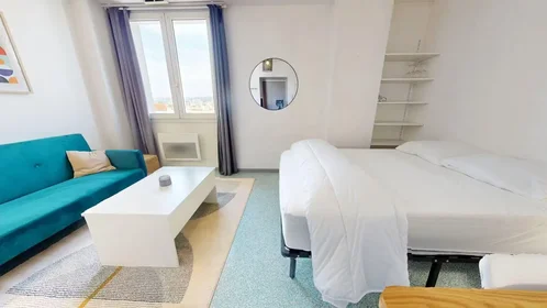 Entire apartment at Boulevard des Tchécoslovaques, 7th Arrondissement, image 5 of 10