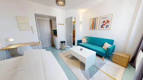 Entire apartment at Boulevard des Tchécoslovaques, 7th Arrondissement, image 6 of 10