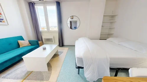 Entire apartment at Boulevard des Tchécoslovaques, 7th Arrondissement, image 7 of 10