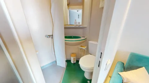 Entire apartment at Boulevard des Tchécoslovaques, 7th Arrondissement, image 10 of 10