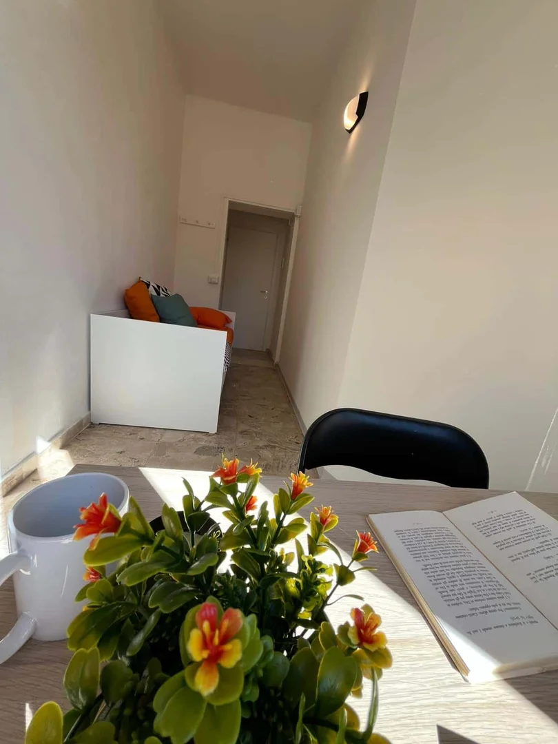 Quarto acolhedor para estudantes disponível em 