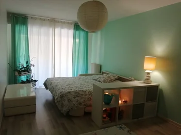 Private room at Nice, 06100, image 5 of 18