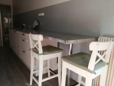 Private room at Nice, 06100, image 13 of 18