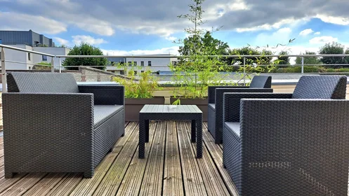 Günstiges Privatzimmer in {area}