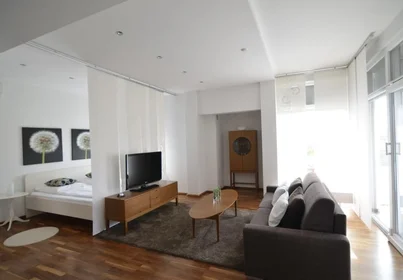 Entire apartment at Put Bokanjca 15, image 1 of 14