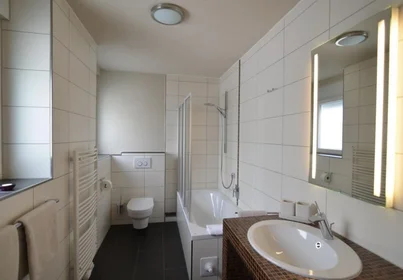 Entire apartment at Put Bokanjca 15, image 13 of 14