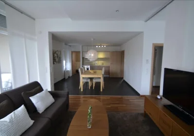 Entire apartment at Put Bokanjca 15, image 8 of 14