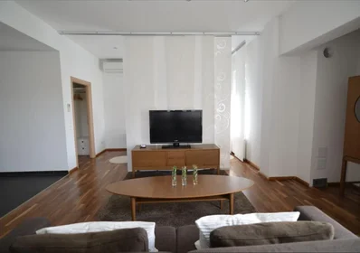 Entire apartment at Put Bokanjca 15, image 9 of 14