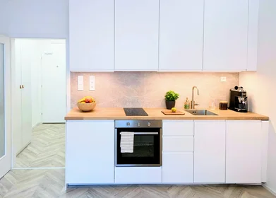 Entire apartment at Cejl 79, image 14 of 16