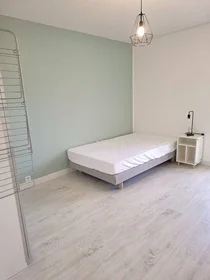 Habitación privada en Angers, 49000, imagen 10 de 17