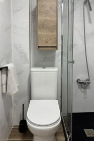 Stanza privata in Calle Rosa, immagine 17 di 17