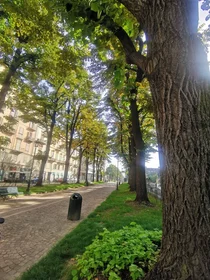 Stanza privata in Corso Giuseppe Siccardi, 4, 1° Piano Scala B, immagine 16 di 16