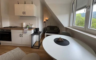 Prywatny pokój Schwarzwaldstraße 25, 79117 Freiburg im Breisgau, Germany, obraz 10 13
