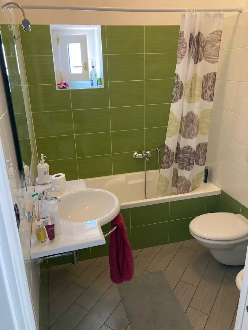 舒适的学生公寓，位于