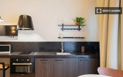 Studio at Rue Général Fivé, image 5 of 12