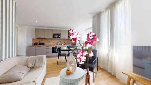 Stanza privata in 52 Cr Edouard Vaillant, 33300 Bordeaux, France, immagine 12 di 17