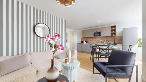 Stanza privata in 52 Cr Edouard Vaillant, 33300 Bordeaux, France, immagine 13 di 17