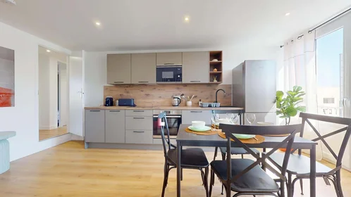 Stanza privata in 52 Cr Edouard Vaillant, 33300 Bordeaux, France, immagine 14 di 17