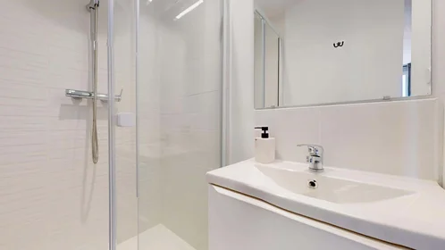Stanza privata in 52 Cr Edouard Vaillant, 33300 Bordeaux, France, immagine 4 di 17
