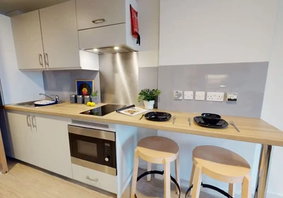 Habitación privada en 240 Bath St, Glasgow G2 4JW, United Kingdom, imagen 34 de 48
