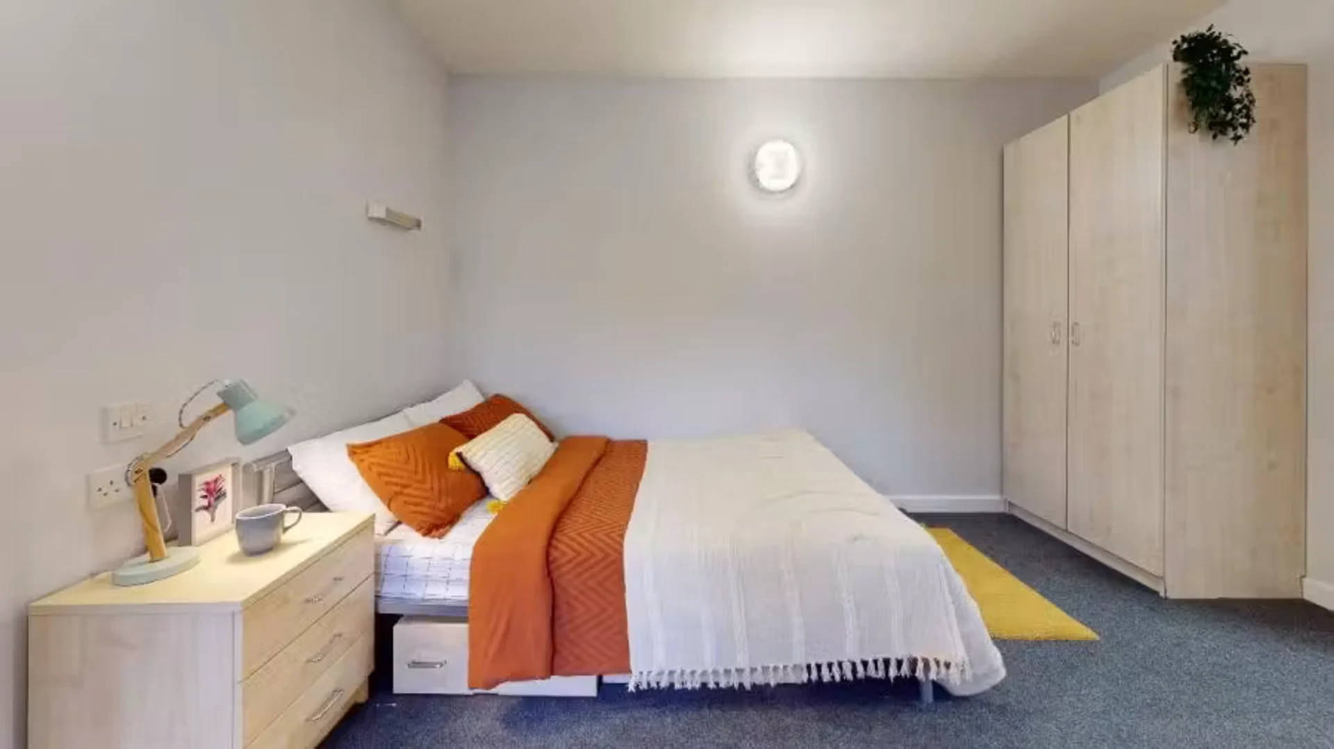 Student-friendly room in with modern amenities