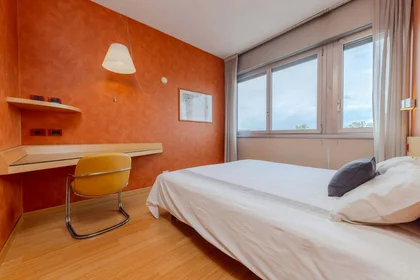 Stanza privata in Lungo Dora Napoli, 14, 10152 Torino TO, Italy, immagine 1 di 9