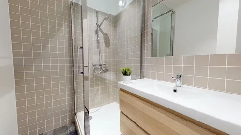 Private room at Rue de Rabanesse, Vallières-Salins-Poncillon, image 10 of 10