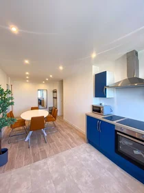 Stanza privata in Lyon, 69008, immagine 1 di 10